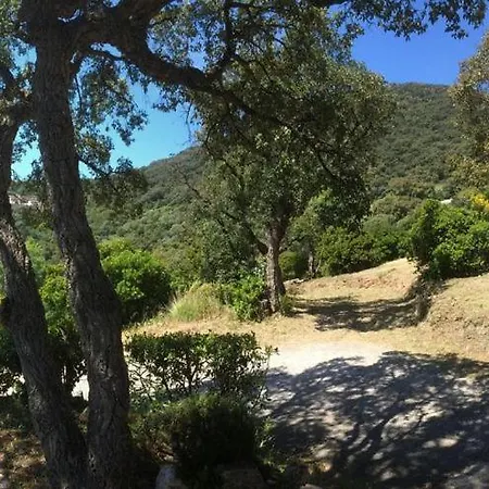 New! Villa Vue Mer Panoramique, Proche Plage Et Saint-Tropez Cavalaire-sur-Mer